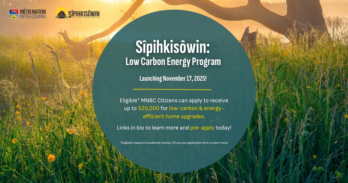 Low Carbon Energy Program Infographic
